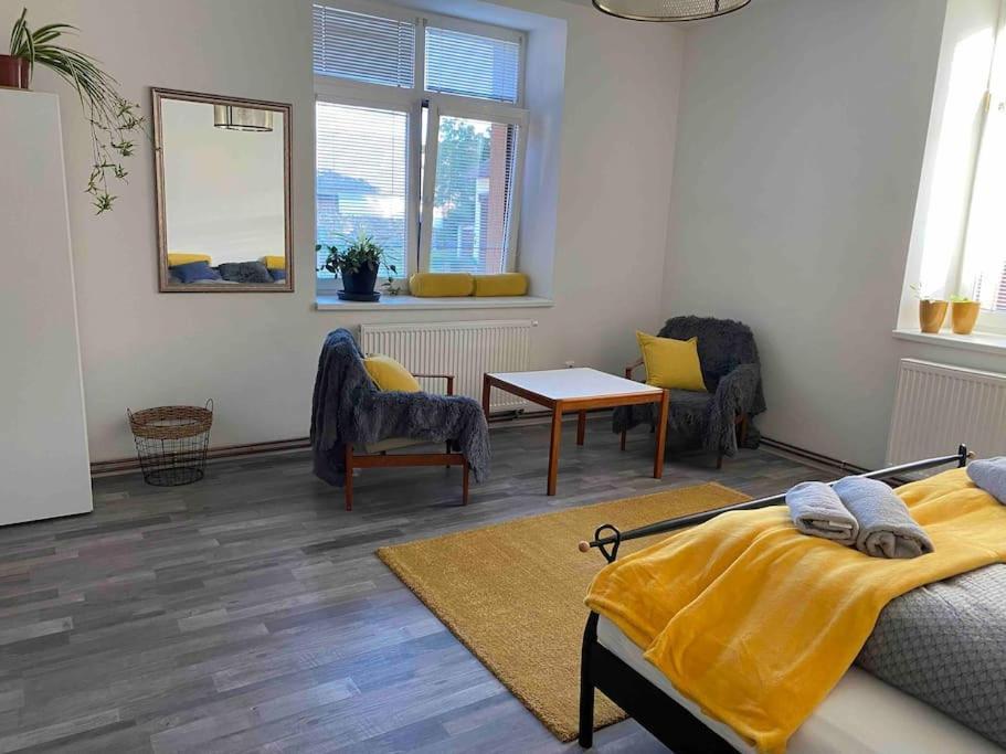 B12 - Bohdanecska 12 Apartment Пардубице Екстериор снимка
